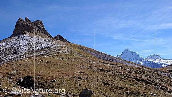 Foto: Blick von Tierwang zu den Felszacken des Ritzengrätli, Wetterhorn und Bärglistock.