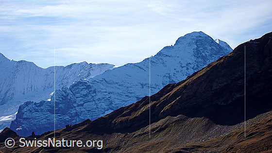 Foto: Blick von Tierwang zu Walcherhorn / Walchergrat und Mittellegigrat (Ostegg, Hörnli, Mittellegi, Mittellegigrat, Grosser Turm, Eiger).
