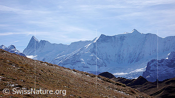 Foto: Blick von Tierwang zu Finsteraarhorn, Ochs, Fieschergletscher und Gross Fiescherhorn. Darüber befinden sich Schleierwolken.