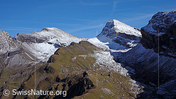 Foto: Herbstliche Berglandschaft mit leicht verschneitem Wildgärst, Wart (Übergang), Schwarzhorn (Grindelwald) und Grosse Chrinne.
