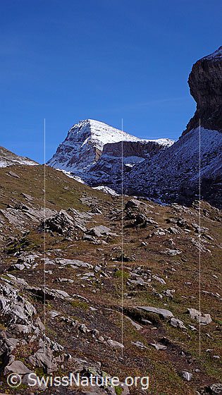 Foto: Blick über das Hiendertellti zu Schwarzhorn und Grosse Chrinne.