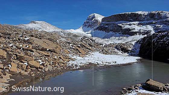 Foto: Häxeseeli mit dünner Eissicht bedeckt und von bräunlichen Felsplatten umgeben. Das Hochtal Hinterbirg, der Wildgärst, der Übergang Wart, das Schwarzhorn und die Grosse Chrinne sind leicht verschneit.