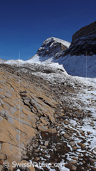 Foto: Blick über Hinterbirg zu Übergang Wart, Schwarzhorn und Grosse Chrinne. Im Vordergrund eine braun gemusterte Felsplatte mit feinen Rissen.