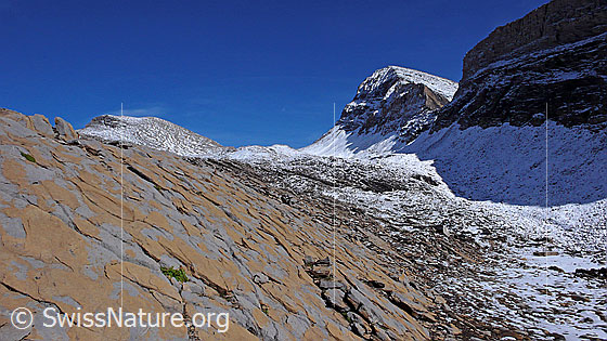 Foto: Blick über Hinterbirg zu Wildgärst, Übergang Wart, Schwarzhorn und Grosse Chrinne. Im Vordergrund eine braun gemusterte Felsplatte mit feinen Rissen.
