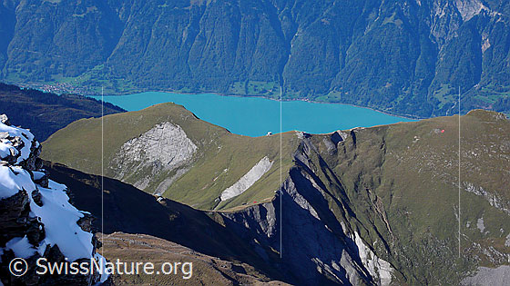 Foto: Blick vom Gipfel des Wildgärst auf Tschingel, Axalphorn und Brienzersee.