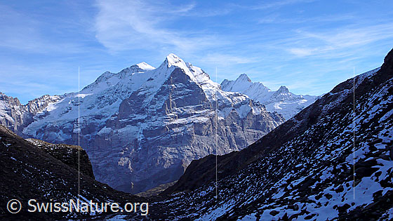 Foto: Blick vom Blau Gletscherli über eine Scharte zu Rosenhorn, Mittelhorn, Wetterhorn, Scheideggwetterhorn, Chrinnenhorn, Lauteraarhorn, Schreckhorn, Kleines Schreckhorn.