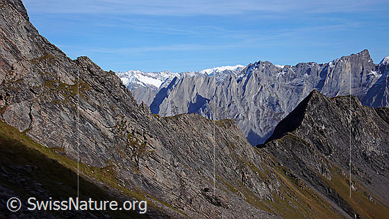 Foto: Blick vom Blau Gletscherli auf die Engelhörner und kleines Wellhorn.
