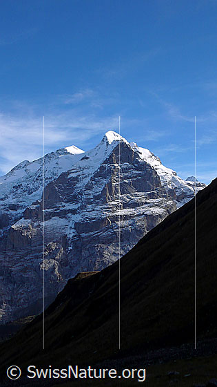 Foto: Blick vom Blau Gletscherli zu Rosenhorn, Mittelhorn, Wetterhorn und in die Nordwand des Scheideggwetterhorn.