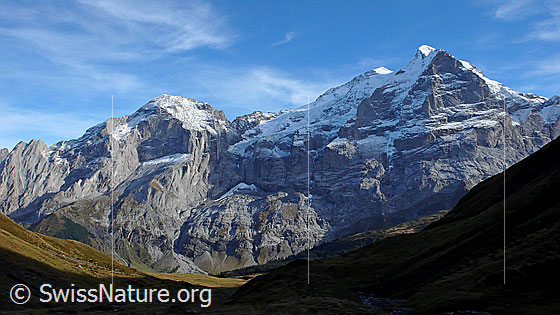 Foto: Blick von Wischbääch zu Wellhorn, Mittelhorn, Wetterhorn und in die Nordwand des Scheideggwetterhorn.