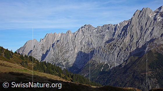 Foto: Engelhörner und kleines Wellhorn.