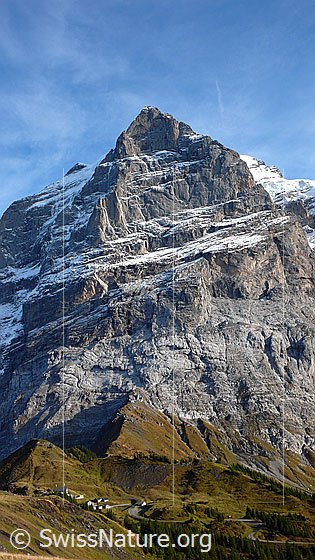 Foto: Scheideggwetterhorn (Nordwand) und Grosse Scheidegg (Grindelwald).