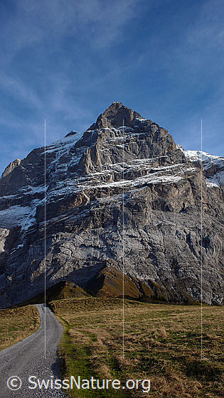 Foto: Scheideggwetterhorn (Nordwand) und Wanderweg bei Grosse Scheidegg (Grindelwald).