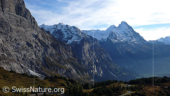 Foto: Blick von der Grossen Scheidegg zu Ankenbälli, Mättenberg, Mönch und Eiger.