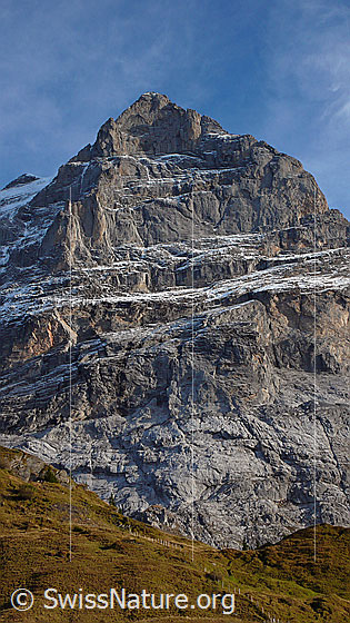 Foto: Blick von der Grossen Scheidegg in die Nordwand des Scheideggwetterhorns.