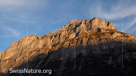 Foto: Mättenberg (Grindelwald) im Abendlicht.