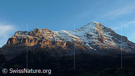 Foto: Ostegg, Hörnli, Mittellegi, Grosser Turm, Eiger (Nordwand) im Abendlicht.