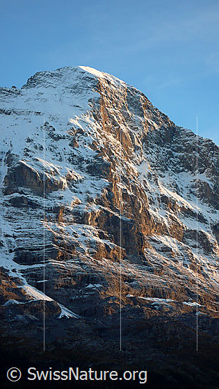 Foto: Abendlicht auf Eigernordwand.