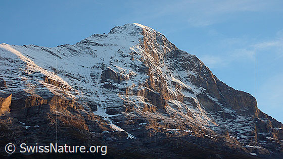 Foto: Eigernordwand im Abendlicht.