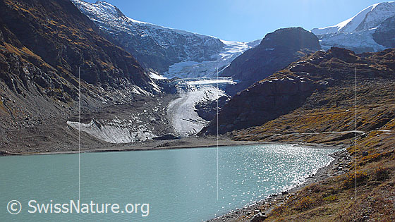 Foto: Gletscherzunge des Steingletschers, Gletschervorfeld und Steinsee.
