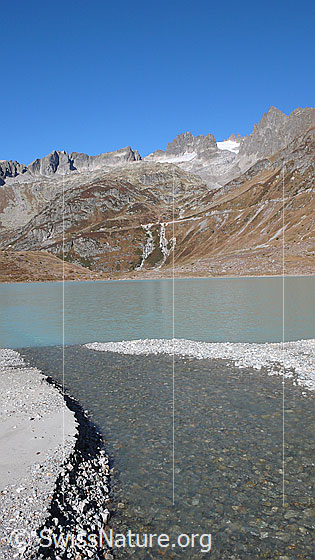 Foto: Einmündung eines Bergbachs in den Steinsee. Im Hintergrund sind die Fünffingerstöcke zu sehen.