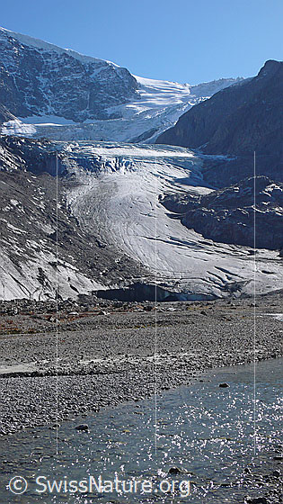 Foto: Gletscherzunge des Steingletschers mit Gletschertor. Das Gletschervorfeld wird durch den Verlauf des Gletscherbachs immer wieder neu geformt.

