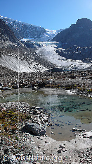 Foto: Steingletscher mit Gletscherzunge und Gletschervorfeld mit kleinem Bergsee, welcher von Lehm und Geröll umgeben ist.
