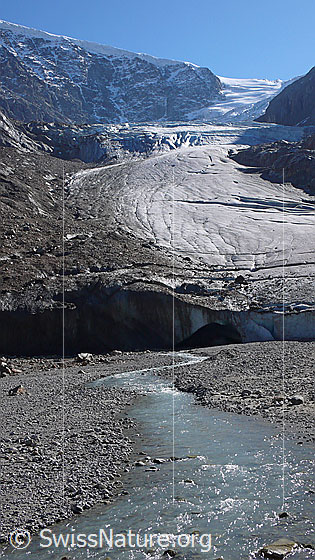 Foto: Gletscherzunge des Steingletschers mit Gletschertor. Der Gletscherbach schlängelt sich durch das Gletschervorfeld.