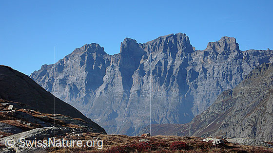 Foto: Felsmassiv mit Mähren und Wendenstöcke. Die steilen Felswände sind zerfurcht.