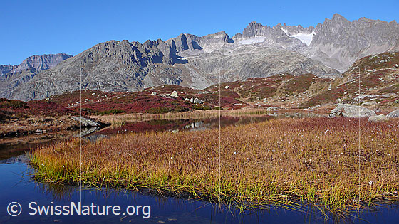 Foto: Herbstfarben in Moorlandschaft mit spiegelglattem Bergsee und Bergkette mit den Fünffingerstöcken.