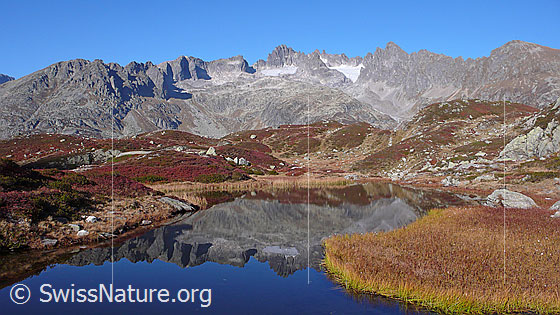 Foto: Kräftige Herbstfarben in Berglandschaft mit Spiegelung der Fünffingerstöcke in klarem Bergsee.