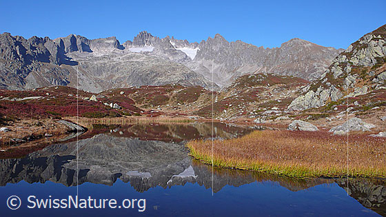 Foto: Kräftige Herbstfarben in Berglandschaft mit Spiegelung der Fünffingerstöcke in klarem Bergsee.