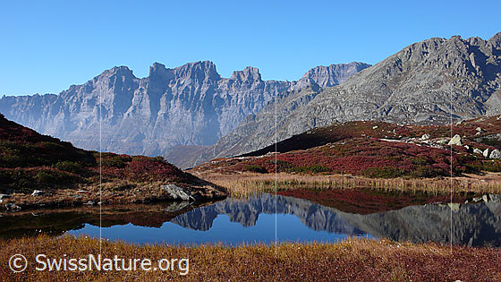 Foto: Bergsee in herbstlicher Umgebung mit Spiegelung. Im Hintergrund sind Mähren und Wendenstöcke zu sehen.