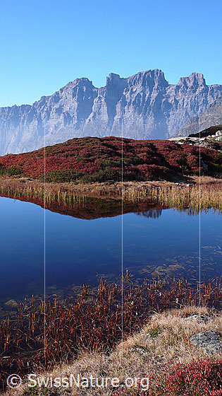 Foto: Bergsee im Herbst mit Spiegelung. Die Pflanzen am Ufer sind herbstlich gefärbt. Im Hintergrund sind Mähren und Wendenstöcke mit ihren zerfurchten Felswänden zu sehen.