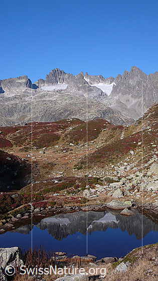Foto: Spiegelglatter Bergsee in herbstlicher Berglandschaft. Im Wasser spiegeln sich die Fünffingerstöck.
