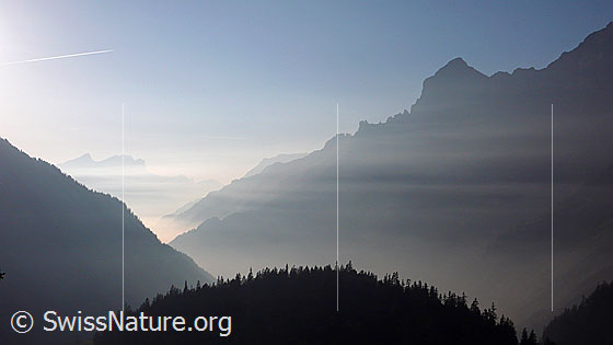 Foto: Herbststimmung mit Bergketten und Tällistock. Eine feine Nebelschicht liegt über den Tälern.