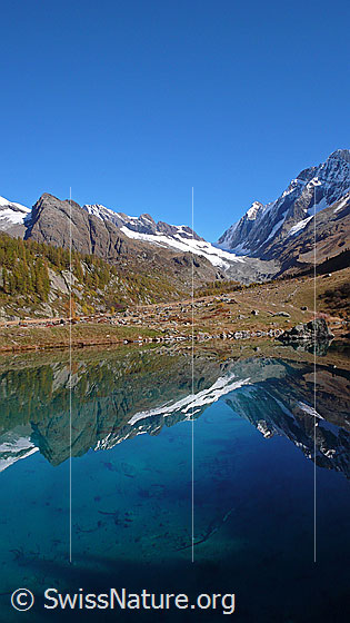 Foto: Spiegelung von Jegichnubel, Lötschenlücke, Sattelhorn, Distlighorn und Schinhorn im Grundsee. Hochtal und Lärchenwald sind herbstlich gefärbt.