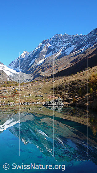 Foto: Herbstfarben und Spiegelung von Sattelhorn, Distlighorn und Schinhorn im Grundsee.