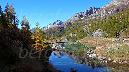 Foto: Spiegelung im Grundsee mit herbstlicher Lärche am Ufer und Lärchenwald, Hockenhorn, Tennbachhorn und Chrindelspitza im Hintergrund.