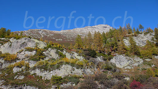 Foto: Herbsfarben im Lötschental und Burstspitza mit Felsstufen und herbstlich gefärbten Lärchen.