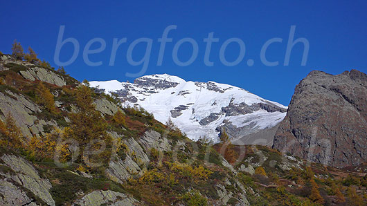 Foto: Grosshorn von Süden (Lötschental) in herbstlich gefärbter Berglandschaft mit Lärchen und darüber blauem Himmel.