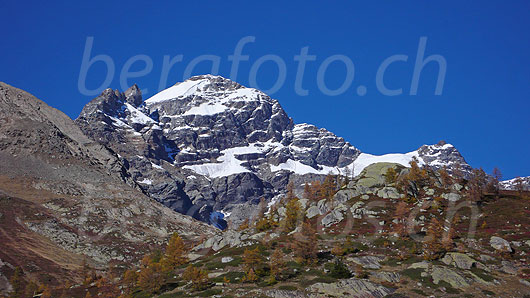 Foto: Lauterbrunnen Breithorn von Süden in herbstlich gefärbter Berglandschaft mit Lärchen und darüber blauem Himmel.