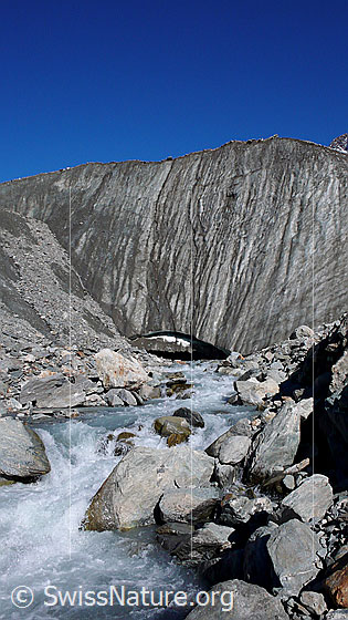 Foto: Gletschertor des Langgletschers und Ursprung der Lonza. Das Wasser fliesst als Gletschermilch aus dem breiten Tor. Der Langgletscher endet hier mit einer steilen Eiswand.