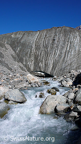 Foto: Gletschertor des Langgletschers und Ursprung der Lonza. Das Wasser fliesst als Gletschermilch aus dem breiten Tor. Der Langgletscher endet hier mit einer steilen Eiswand.

