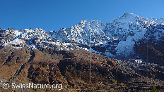 Foto: Lonzahörner, Lötschentaler Breithorn und Dischliggletscher.