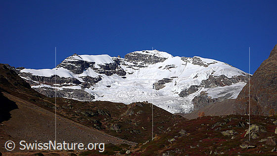 Foto: Grosshorn und Jegigletscher.