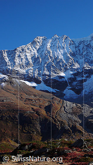 Foto: Lonzahörner und herbstliche Berglandschaft.
