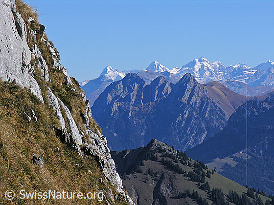 Foto: Blick vom Rocher de Naye auf Rocher Plat, Le Rubli und Eiger, Mönch, Jungfrau im Hintergrund.