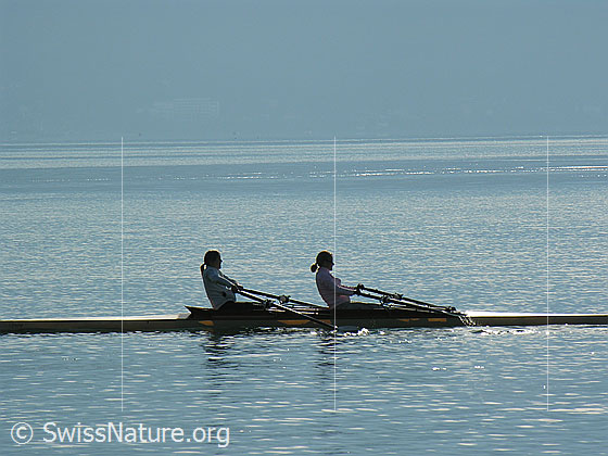 Foto: Ruderer auf dem Genfersee.
