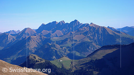 Foto: Blick vom Rochers de Naye über herbstliche Berglandschaft zu Tsermon, Vanil Noir, Pointe de Paray, Vanil Carré.