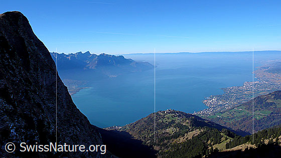 Foto: Blick vom Rochers de Naye über den Genfersee (Le Léman) und auf Montreux und Vevey.